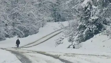 Zonguldak'ta Kar Yağışı 67 Köy Yolunu Kapattı