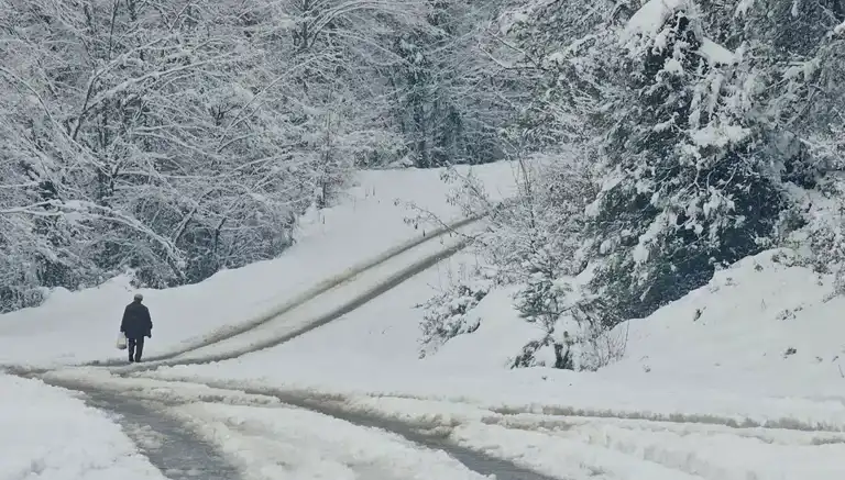 Zonguldak'ta Kar Yağışı 67 Köy Yolunu Kapattı